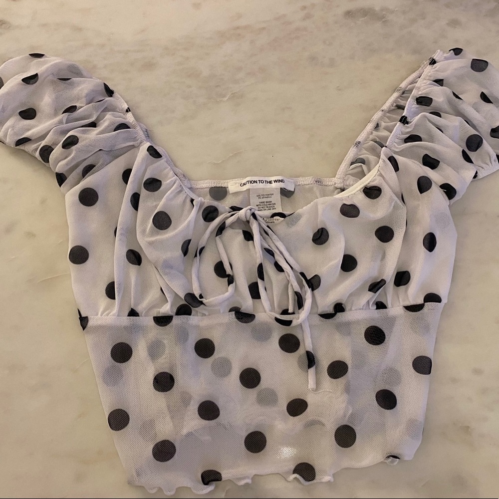 Caution to the WILD Polka Dot Crop Top
